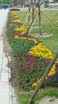 20150429_135305_resized