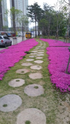 20150429_184812_resized